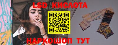 прущие грибы Пугачёв