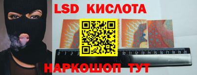 прущие грибы Пугачёв