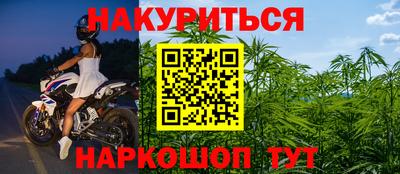 прущие грибы Пугачёв