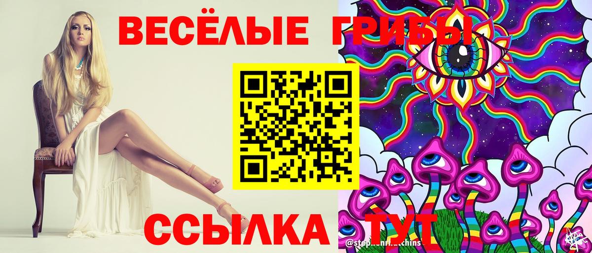 Псилоцибиновые грибы GOLDEN TEACHER  Галлюциногенные грибы Cubensis  Вход с VPN  Орехово-Зуево 