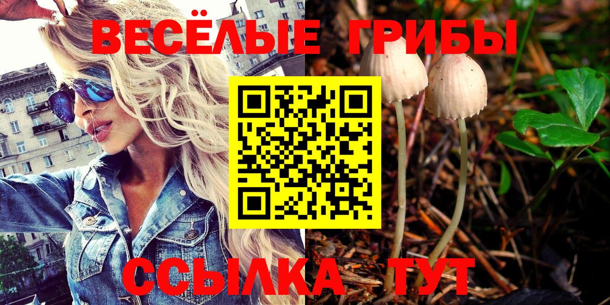 Галлюциногенные грибы ЛСД Орехово-Зуево